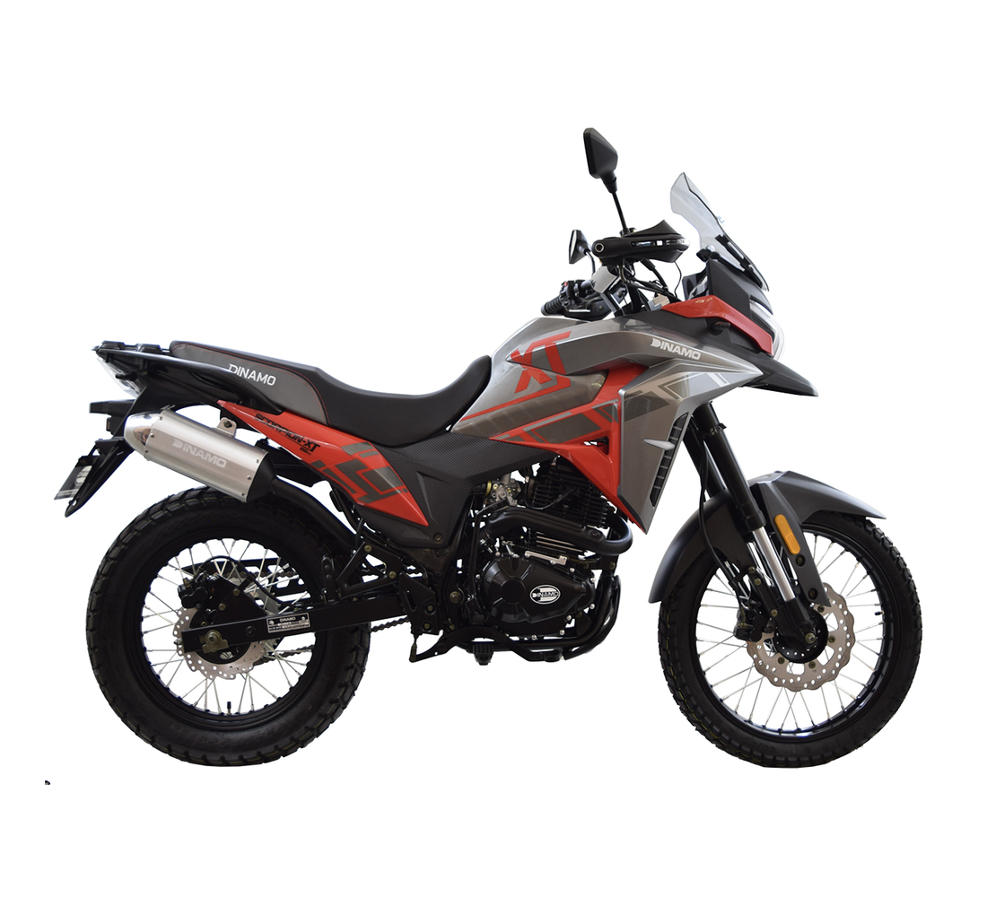 Dinamo Scorpion XT Galeria1 Galgo México