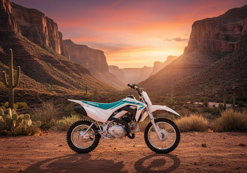 Honda CRF110F Lifestyle2 Galgo