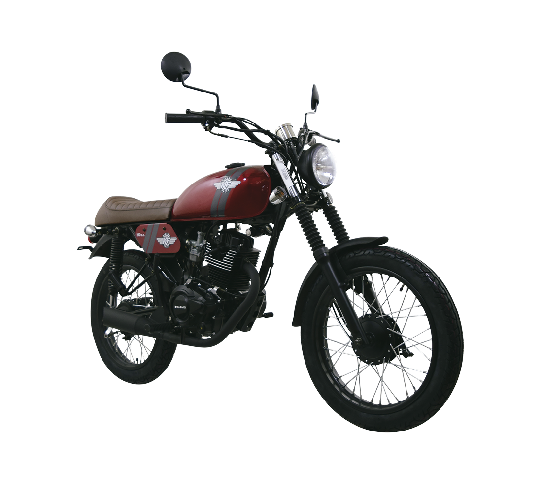 Dinamo KF Racer Galeria1 Galgo México