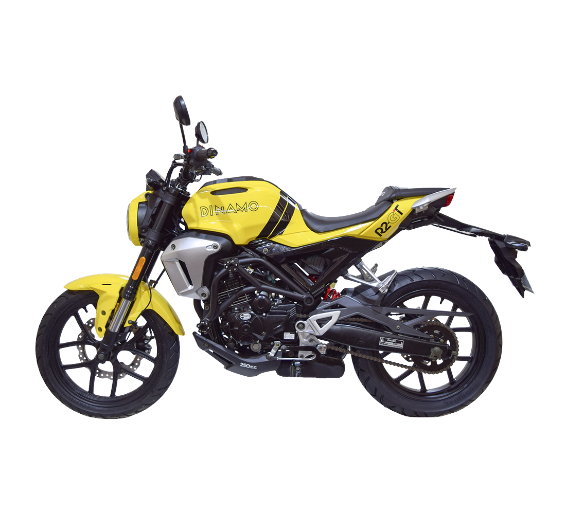 Dinamo Sport R2 Galeria3 Galgo México