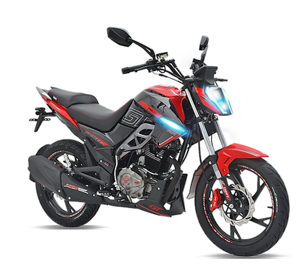 Veloci Snake Galeria3 Galgo