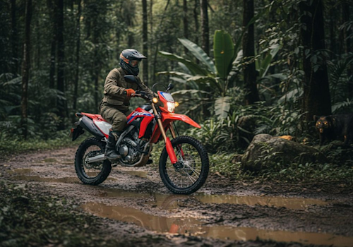 Honda CRF 300L Lifestyle3 Galgo