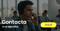 Los ejecutivos galgo están listos para contactarte y asesorarte.