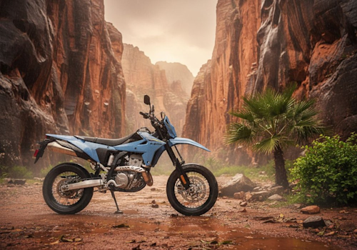Suzuki DR-Z4SM Lifestyle2 Galgo