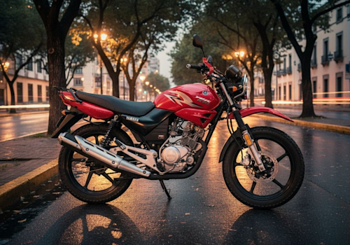 Yamaha YBR 125 G Lifestyle2 Galgo