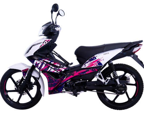 Treck MT 125 Galeria1 Galgo