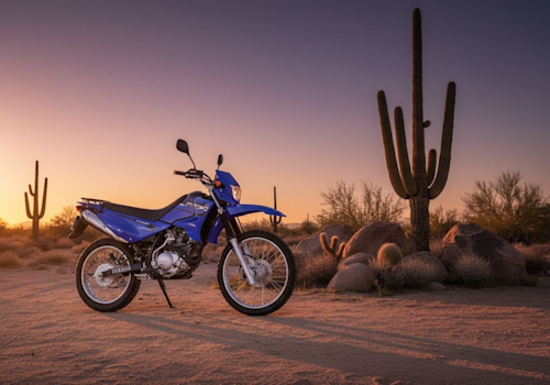 Yamaha XTZ 125 Lifestyle3 Galgo