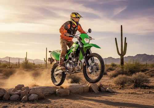 Kawasaki KLX 230 S Lifestyle3 Galgo