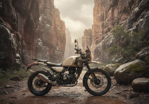 Royal Enfield Himalayan 450 Lifestyle3 Galgo