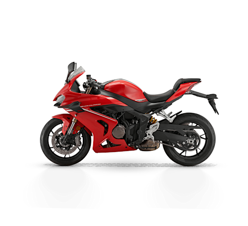 QJ Motor SRK 800 RR Galeria4 Galgo