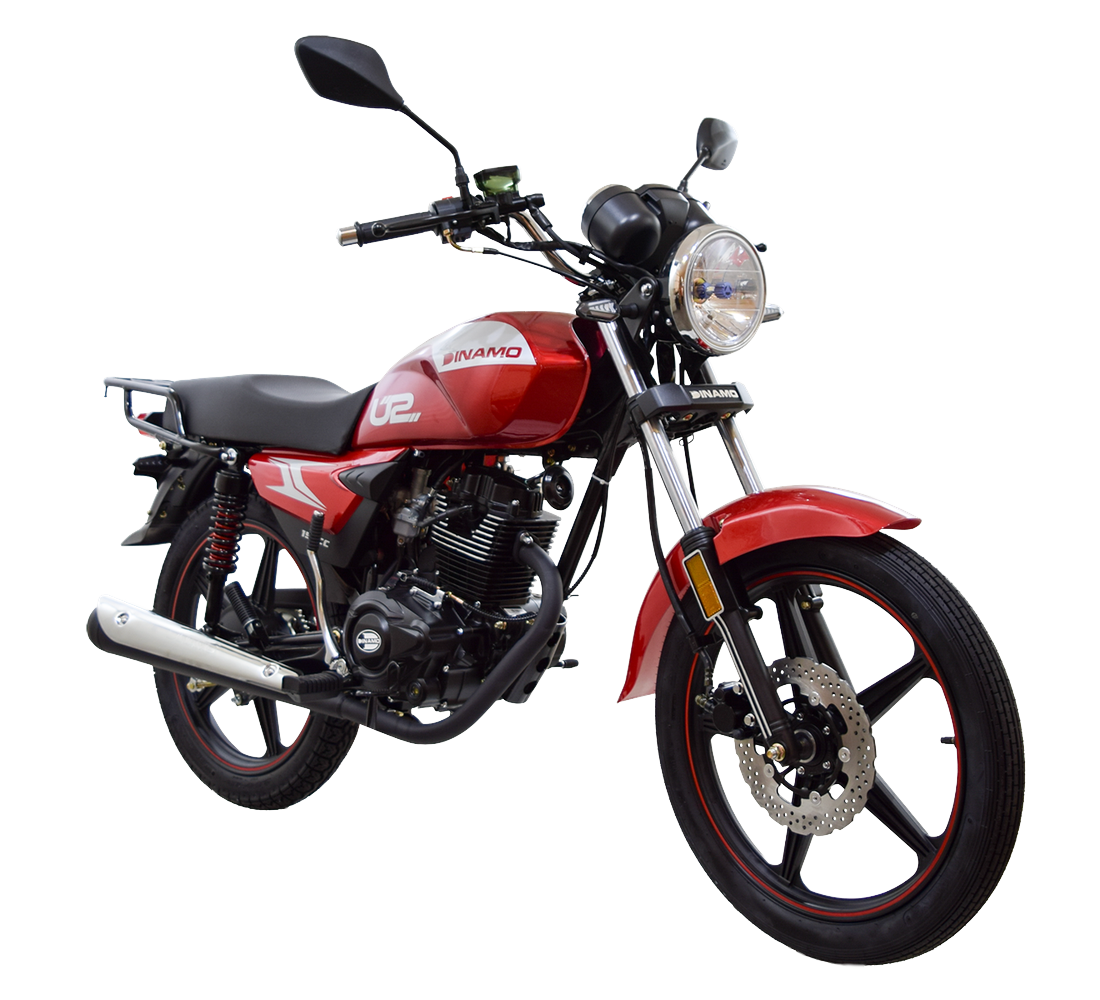 Dinamo U2 Galeria3 Galgo México