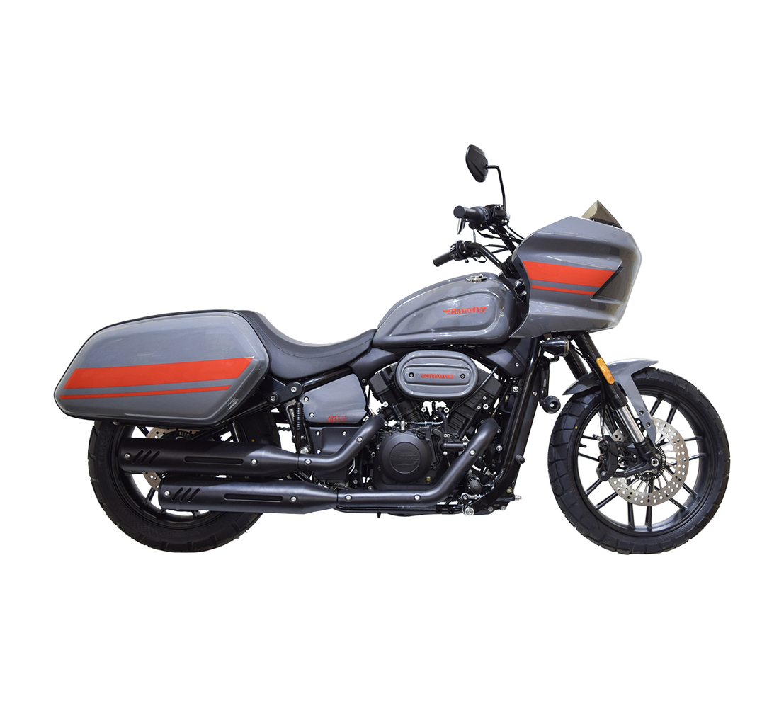 Dinamo Bandid Galeria2 Galgo México