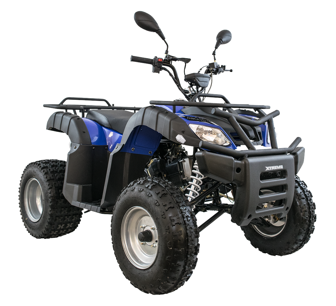 Dinamo Xtreme Rocky Galeria2 Galgo México