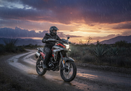 Dinamo Scorpion XT Lifestyle1 Galgo