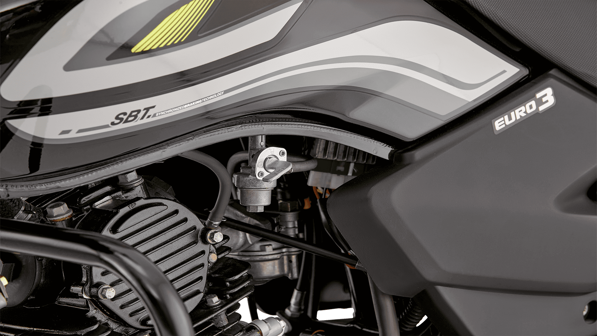 TVS SPORT 100 ELS SP TOP CASE 4 - Galgo Colombia 