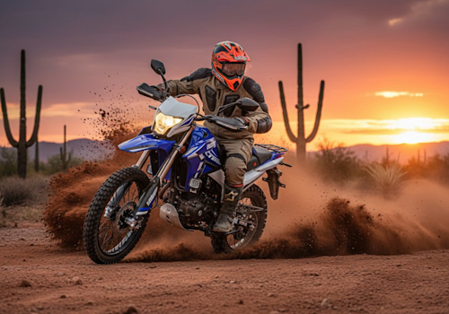 BDS Stark 300 Lifestyle1 Galgo