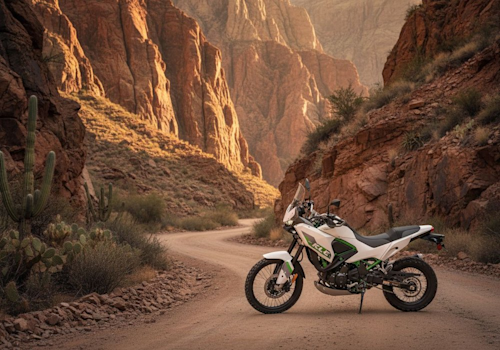 Kawasaki KLE 500 SE Lifestyle2 Galgo