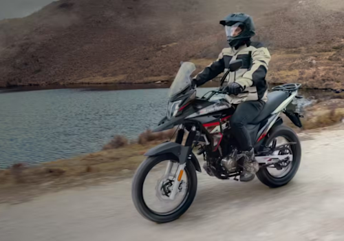 Daytona Artic 250 Lifestyle1 Galgo México