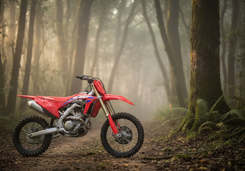 Honda CRF 250R Lifestyle2 Galgo