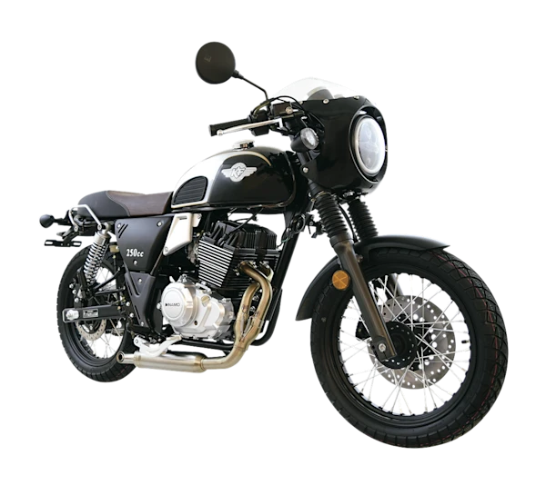 Dinamo KF-Racer 250 Imagen principal Galgo México