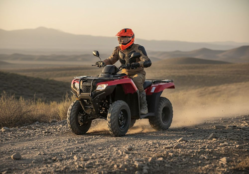 Honda TRX420FMA Lifestyle1 Galgo