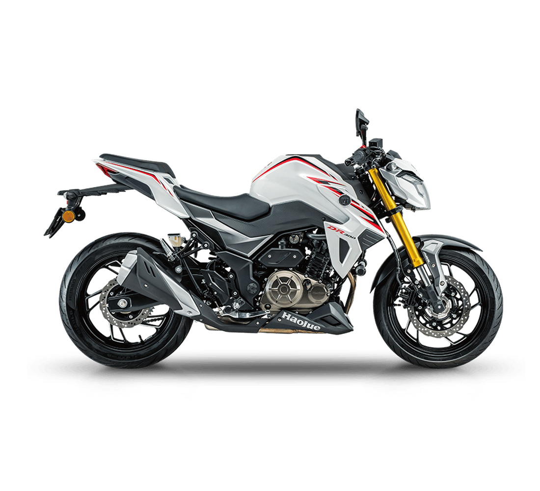 Bolton DR300 Galeria5 Galgo