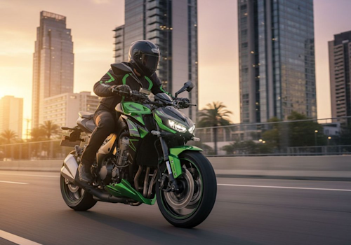 Kawasaki Z1000 Lifestyle3 Galgo