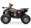 Moto Takasaki ATV150 BULL Galgo Chile
