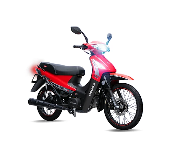 Veloci Draxter Galeria4 Galgo