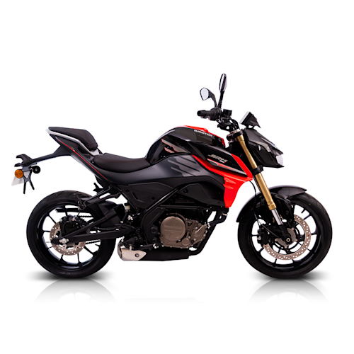 QJ Motor SRK 300 S Galeria8 Galgo