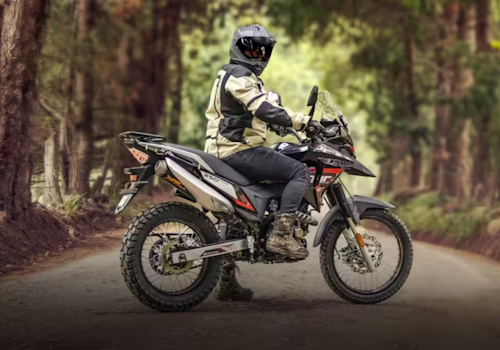 Daytona Artic 250 Lifestyle2 Galgo México