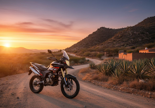 Daytona Artic Lifestyle2 Galgo