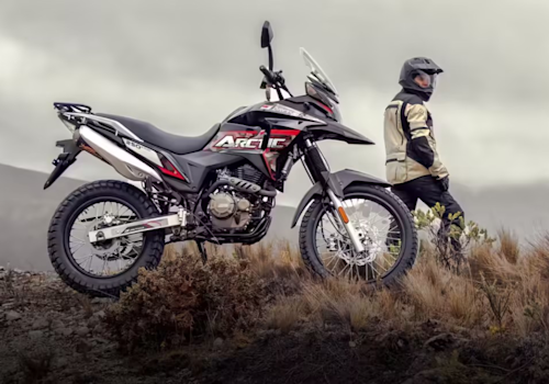 Daytona Artic 250 Lifestyle3 Galgo México