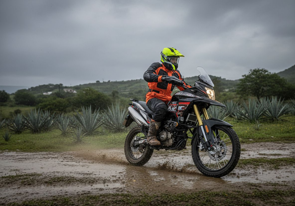 Daytona Artic Lifestyle3 Galgo