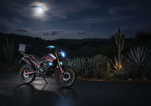 Veloci Xeverus Evo Pro Lifestyle2 Galgo