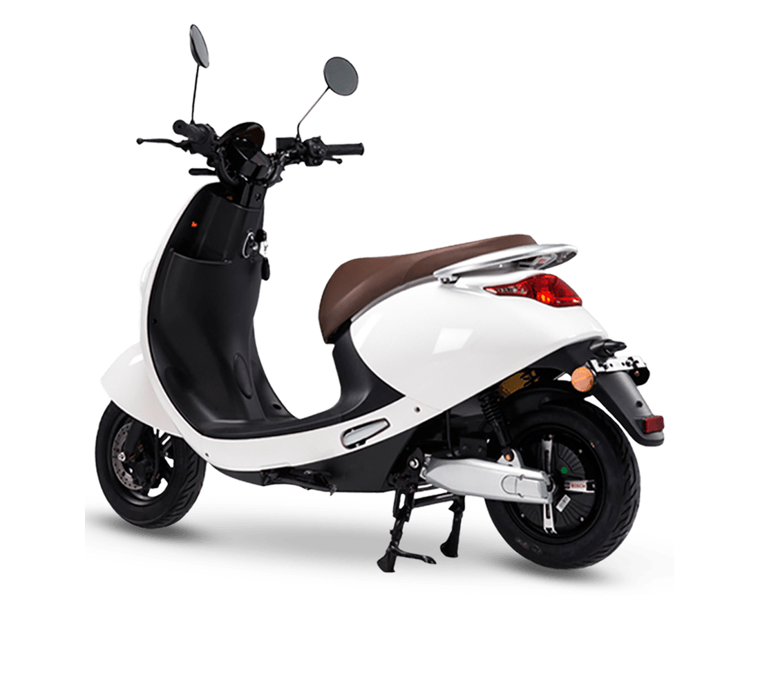 LVN LX 02 Galeria3 Galgo 