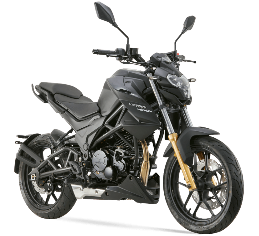 Victory Venom 250S Imagen principal Galgo