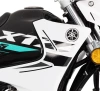Moto Yamaha New XTZ-125 Galgo Chile
