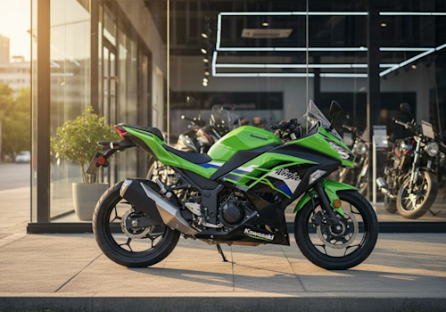 Kawasaki Ninja 300 Lifestyle2 Galgo