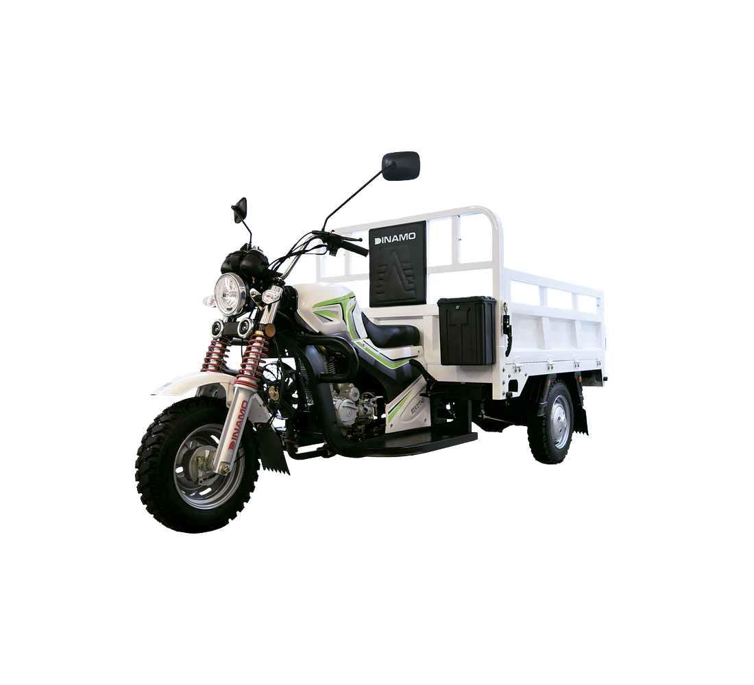 Dinamo Heavy-B Galeria1 Galgo México