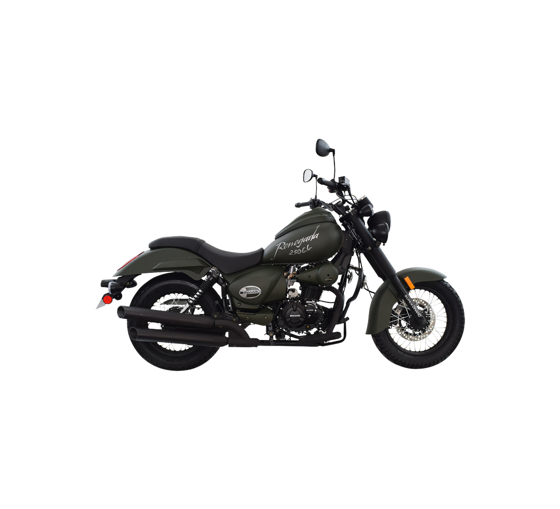 Dinamo Renegada 250 Galeria2 Galgo México