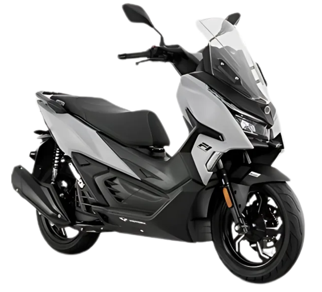 Victory BET ABS TK Imagen principal Galgo Colombia