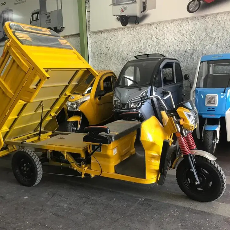 Smart cargo Y19 PRO Migrante