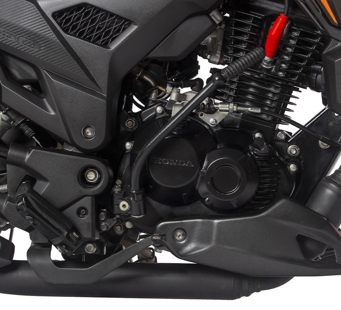 Honda XBLADE Galgo Chile