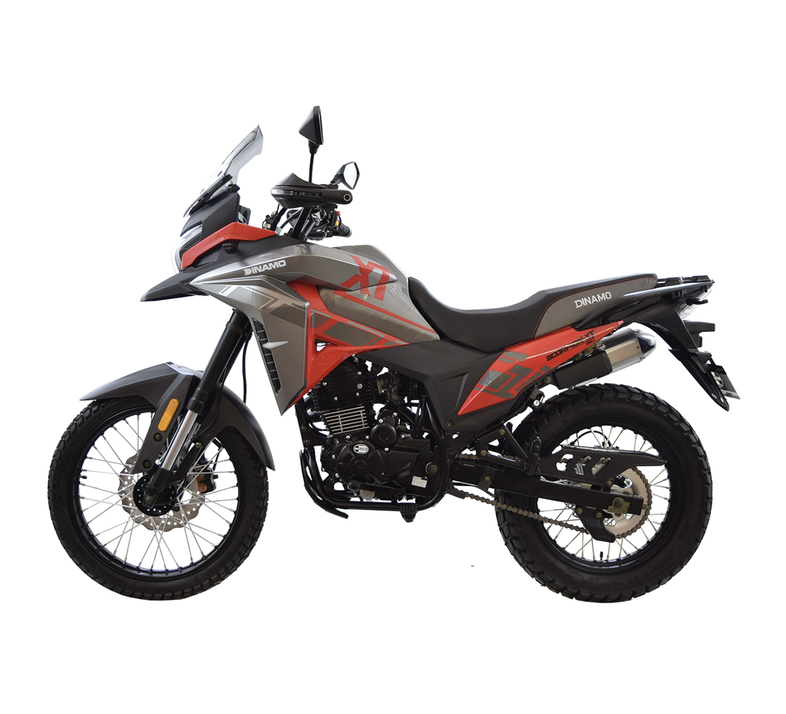 Dinamo Scorpion XT Galeria2 Galgo México