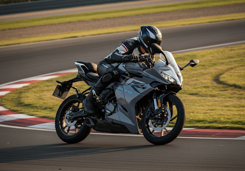 CF Moto 300SR Lifestyle3 Galgo
