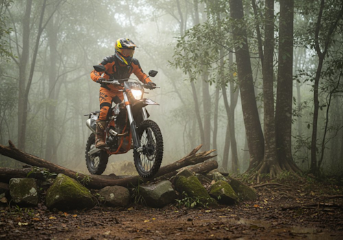 Dinamo DNM 2.5 Lifestyle1 Galgo