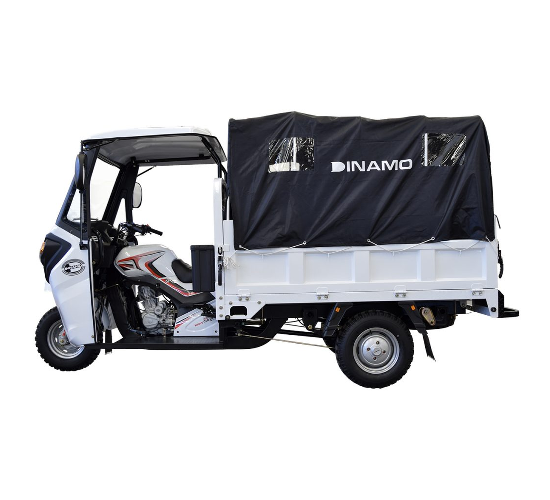 Dinamo Heavy CAB-R Galeria3 Galgo México