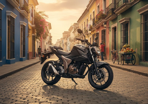 Suzuki Gixxer 250 DI Lifestyle2 Galgo