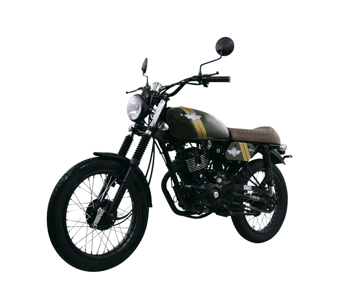 Dinamo KF Racer Galeria5 Galgo México